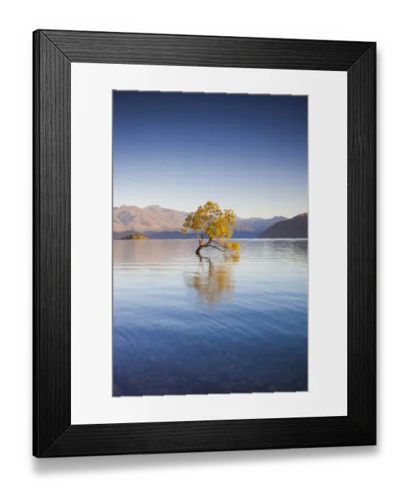 Framed Print : New Zealand, South Island, Otago, Wanaka, Lake Wanaka, solitary tree, dawn Framed Print : New Zealand, South Island, Otago, Wanaka, Lake Wanaka, solitary tree, dawn
