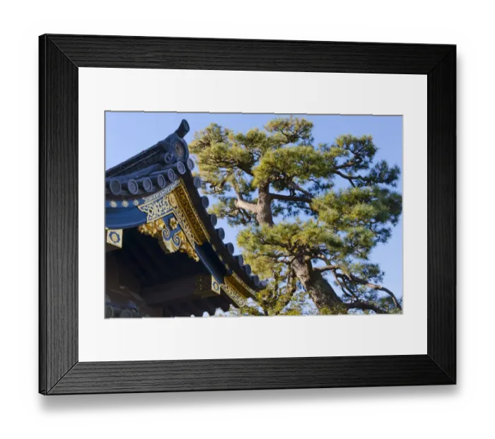 Framed Print : Nijo Castle, Kyoto, Japan Framed Print : Nijo Castle, Kyoto, Japan
