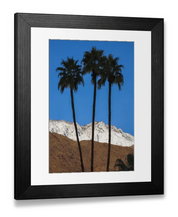 Framed Print : Palm Springs, California Framed Print : Palm Springs, California