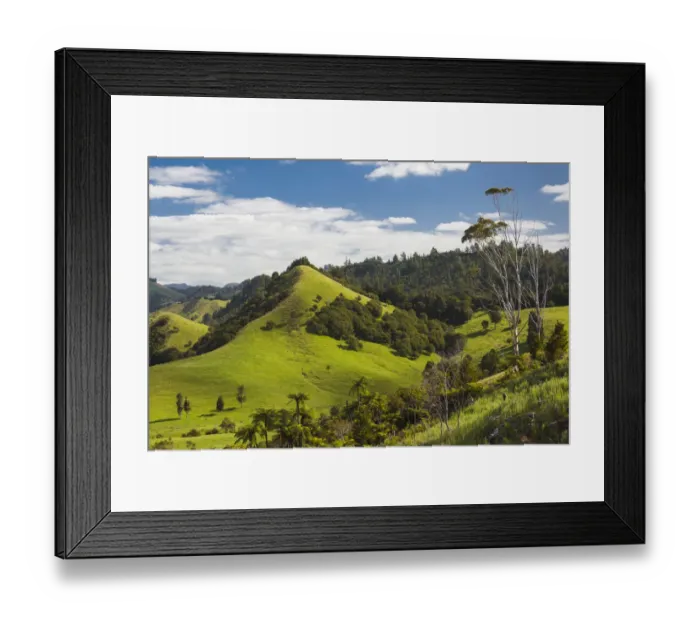 Framed Print : New Zealand, North Island, Coromandel Peninsula, Wharekawa, landscape