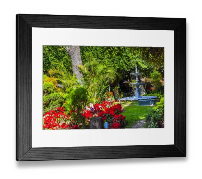 Framed Print : Union Garden Jardin Fountain Guanajuato Mexico
