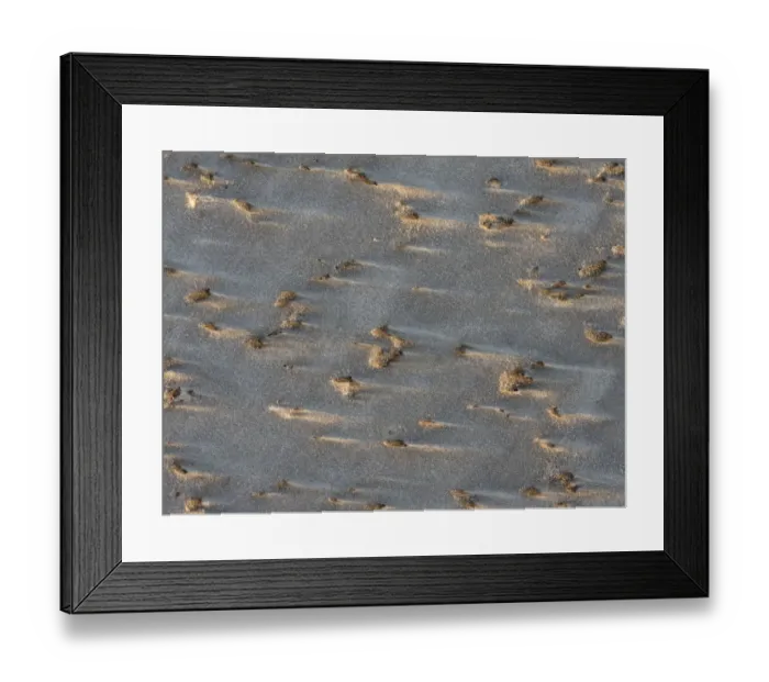 Framed Print : Deatails of beach on Saunders Island, South America, Falkland Islands Framed Print : Deatails of beach on Saunders Island, South America, Falkland Islands