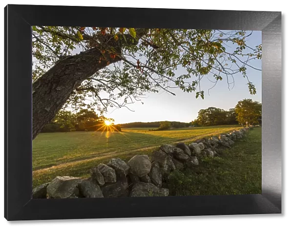 A stone wall and field at sunrise at the Cox Reservation in Essex, Massachusetts