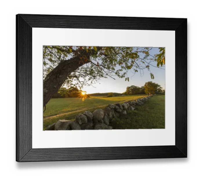 Framed Print : A stone wall and field at sunrise at the Cox Reservation in Essex, Massachusetts