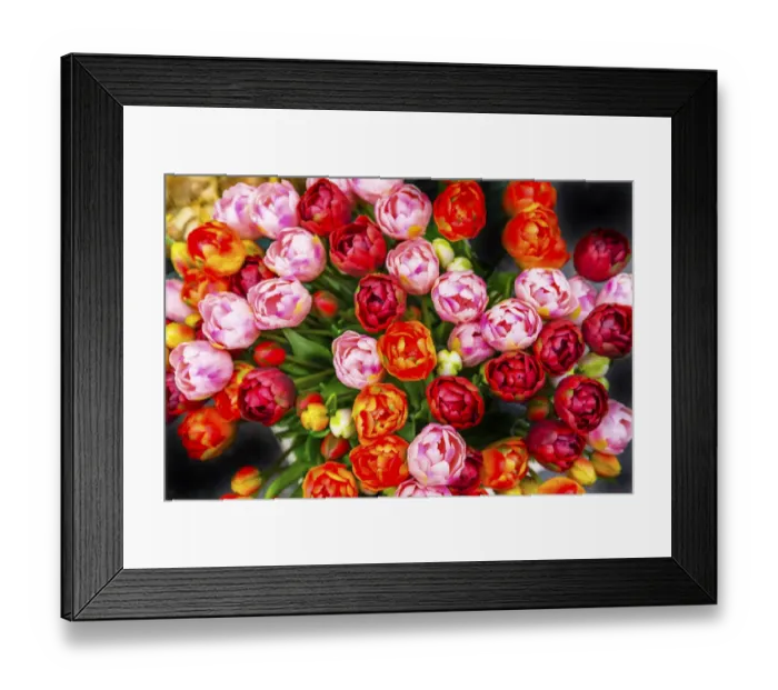 Framed Print : Orange Pink Red Tulips Flowers Bloemenmarket Flower Market Amsterdam Holland Netherlands Framed Print : Orange Pink Red Tulips Flowers Bloemenmarket Flower Market Amsterdam Holland Netherlands