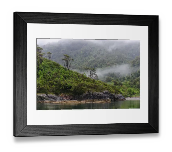 Framed Print : Chile, Patagonia, Lake District, Pumalin National Park Framed Print : Chile, Patagonia, Lake District, Pumalin National Park