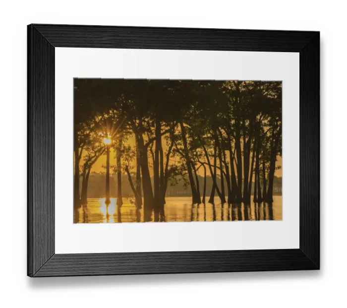 Framed Print : USA, Louisiana. Sunrise on Millers Lake Framed Print : USA, Louisiana. Sunrise on Millers Lake