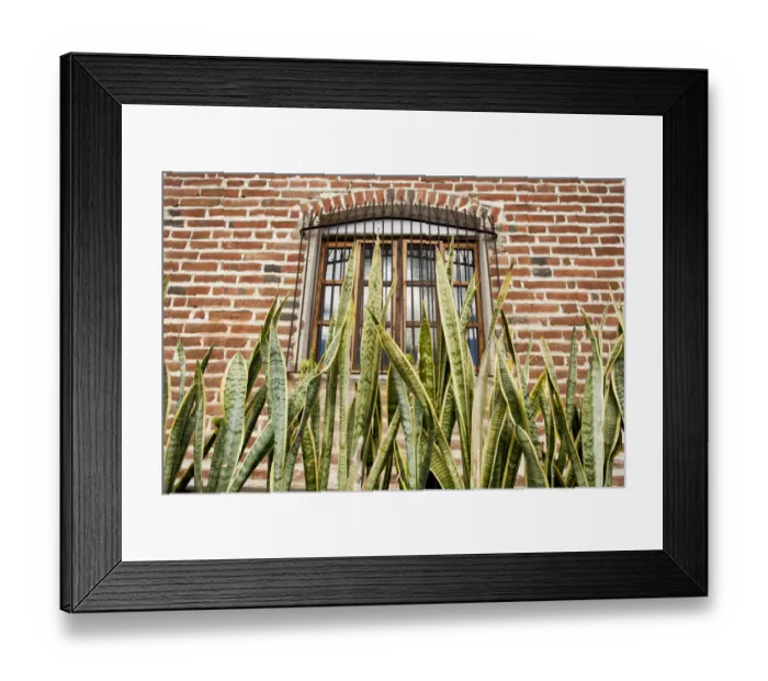 Framed Print : North America, Mexico, Baja Calfornia Sur, Todos Santos