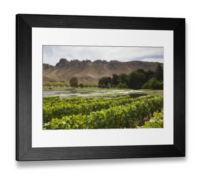 Framed Print : New Zealand, North Island, Hawkes Bay, Havelock North, Te Mata Peak, view from vineyards