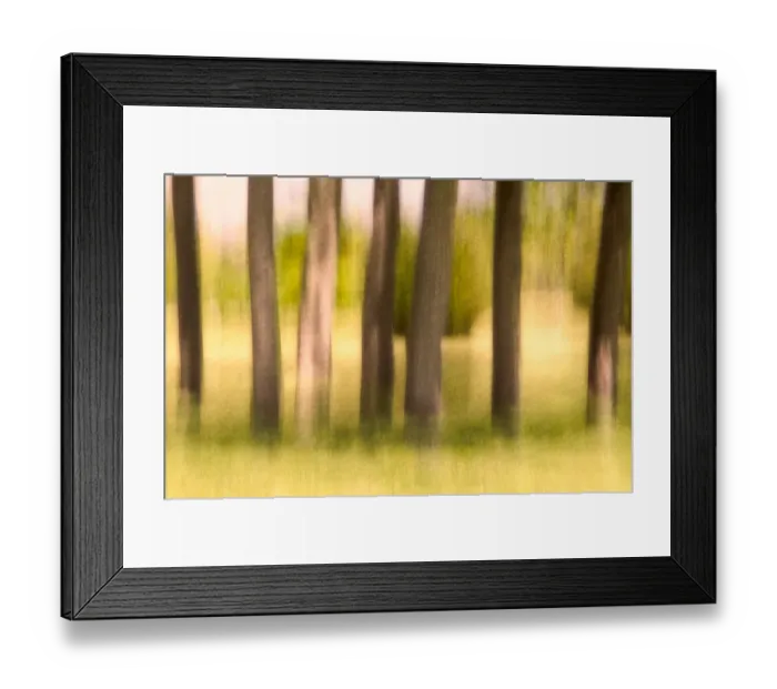 Framed Print : A stand of trees in Fall, textured and blurred Framed Print : A stand of trees in Fall, textured and blurred
