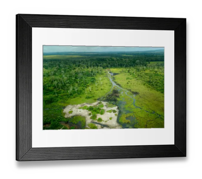 Framed Print : Lango Bai. Odzala-Kokoua National Park. Cuvette-Ouest Region. Republic of the Congo Framed Print : Lango Bai. Odzala-Kokoua National Park. Cuvette-Ouest Region. Republic of the Congo