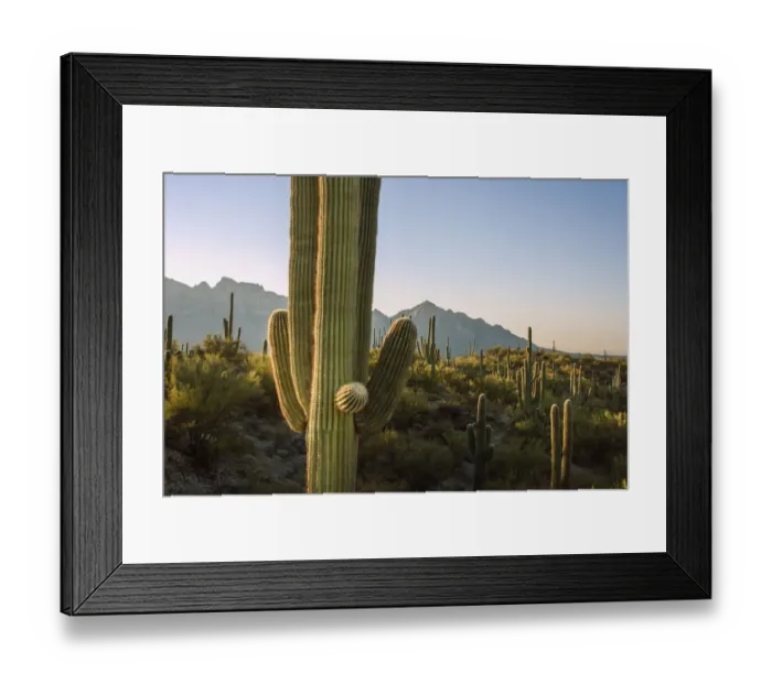 Framed Print : Santa Catalina Mountains in Arizona