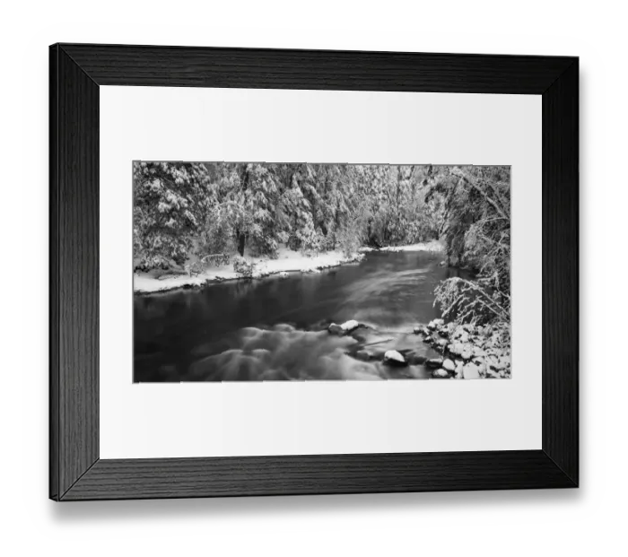 Framed Print : Snowdusted pines along the Merced River, Yosemite National Park, California USA