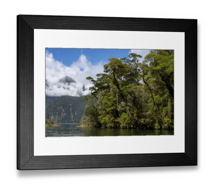 Framed Print : New Zealand, South Island, Fiordland National Park, Milford Sound Framed Print : New Zealand, South Island, Fiordland National Park, Milford Sound