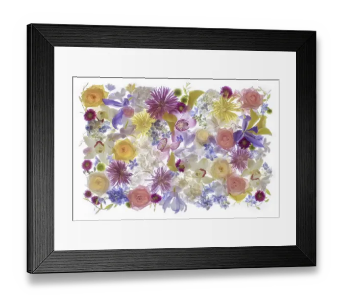 Framed Print : United States, Florida, Celebration, Floral Bounty Framed Print : United States, Florida, Celebration, Floral Bounty