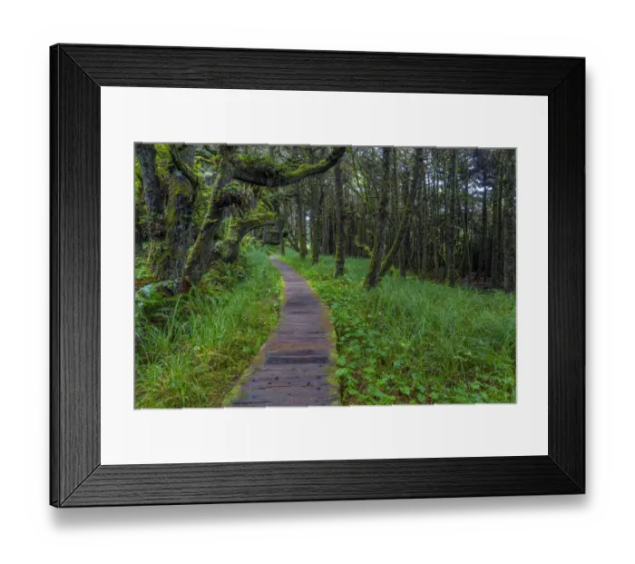 Framed Print : Boardwalk on the Wild Pacific Trail in Pacific Rim National Park Reserve near Tofino