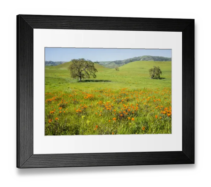 Framed Print : USA: California, No Water No Life, CA Drought Expedition 4, rt 25, west of Diablo Mtn Range