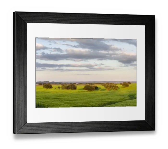 Framed Print : Landscape with fields of grain near Mertola in the nature reserve Parque Natural
