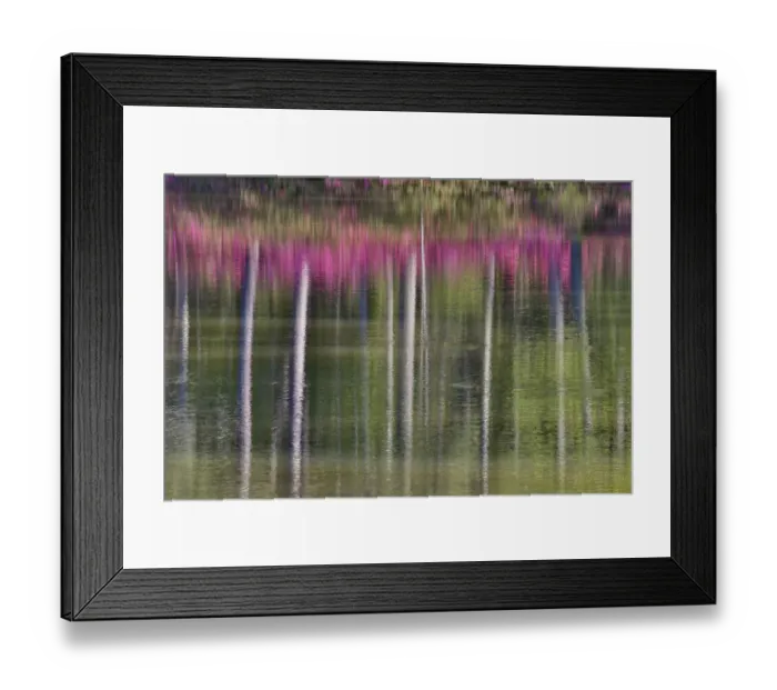 Framed Print : Tree trunks and azeleas reflected in calm pond, Callaway Gardens, Georgia