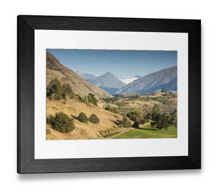 Framed Print : New Zealand, South Island, Otago, Wanaka, vineyard on Lake Wanaka