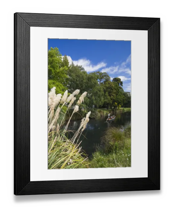 Framed Print : New Zealand, South Island, Christchurch, punting on the Avon River