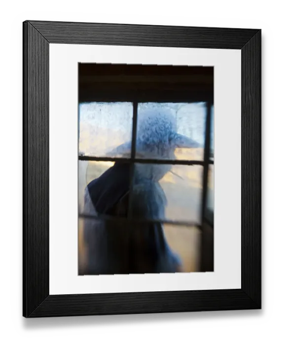 Framed Print : North America; USA; Wyoming; Shell Framed Print : North America; USA; Wyoming; Shell
