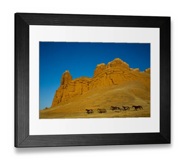 Framed Print : North America; USA; Wyoming; Shell; Heard of Horses Running along the Red Rock hills Framed Print : North America; USA; Wyoming; Shell; Heard of Horses Running along the Red Rock hills