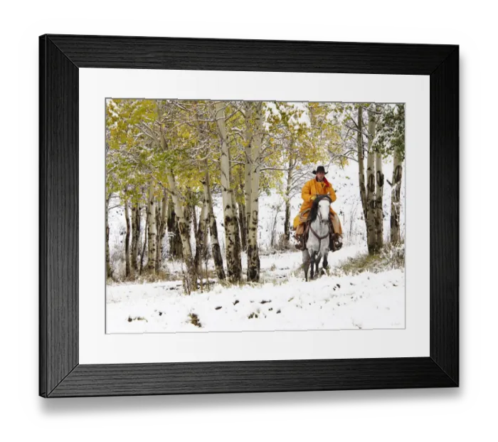 Framed Print : North America; USA; Wyoming; Shell; Big Horn Mountains; Cowboys riding in Autumn Aspens