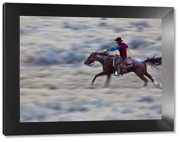 North America; USA; Wyoming; Shell; Cowboy at Full Gallop Riding the Range