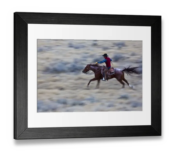 Framed Print : North America; USA; Wyoming; Shell; Cowboy at Full Gallop Riding the Range Framed Print : North America; USA; Wyoming; Shell; Cowboy at Full Gallop Riding the Range