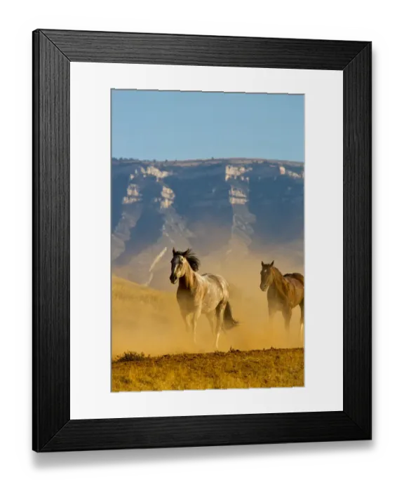 Framed Print : North America; USA; Wyoming; Shell; Horses Running along the Red Rock hills of the Big