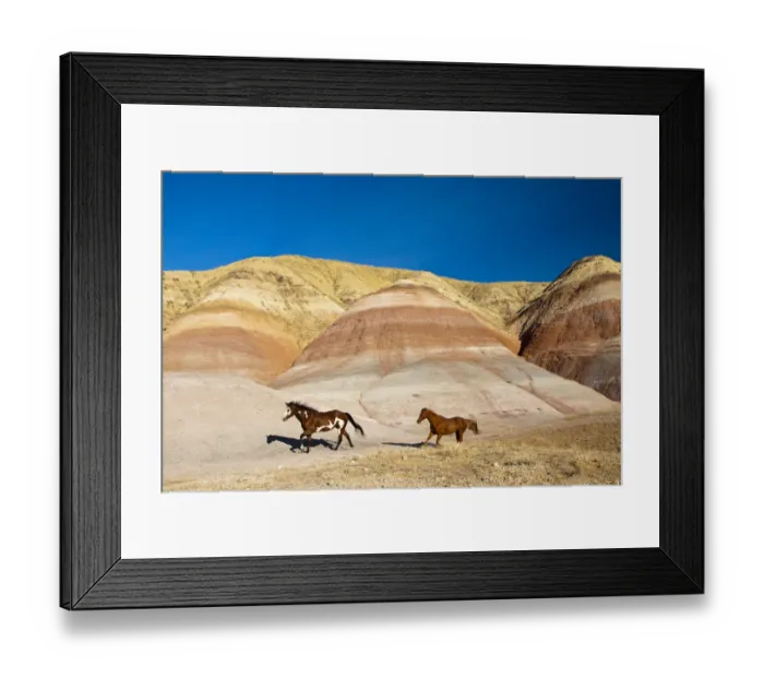 Framed Print : North America; USA; Wyoming; Shell; Heard of Horses Running along the Painted Hills of Framed Print : North America; USA; Wyoming; Shell; Heard of Horses Running along the Painted Hills of