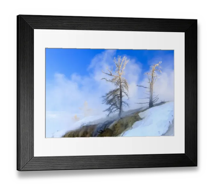 Framed Print : Early Morning mist around trees. Yellowstone National Park. Wyoming Framed Print : Early Morning mist around trees. Yellowstone National Park. Wyoming
