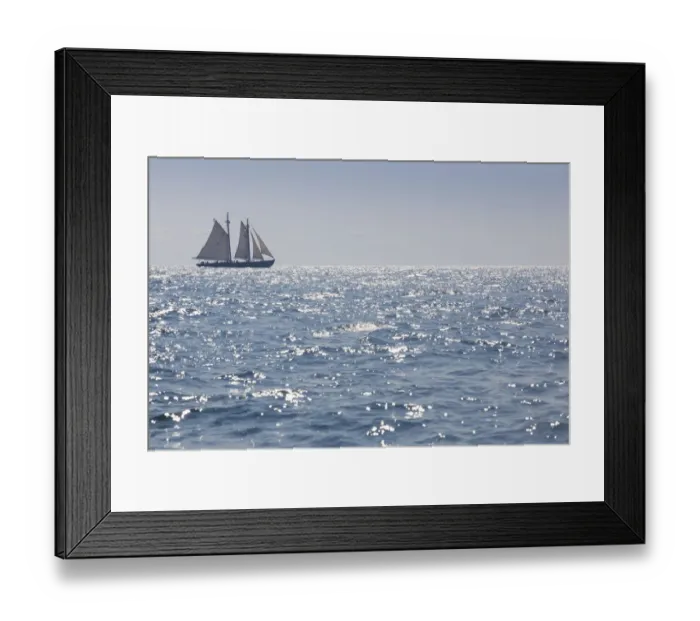 Framed Print : USA, Massachusetts, Cape Ann, Gloucester, Americas Oldest Seaport, Gloucester Framed Print : USA, Massachusetts, Cape Ann, Gloucester, Americas Oldest Seaport, Gloucester