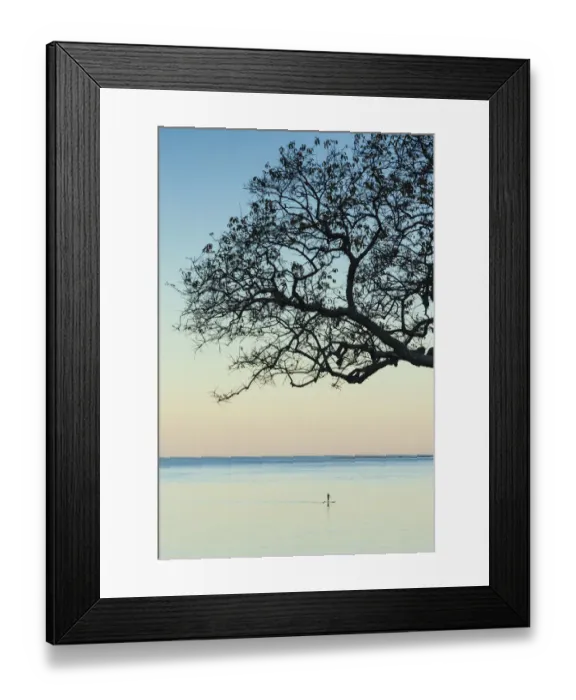 Framed Print : USA, Massachusetts, Cape Ann, Rockport, tree over Front Beach at dusk Framed Print : USA, Massachusetts, Cape Ann, Rockport, tree over Front Beach at dusk