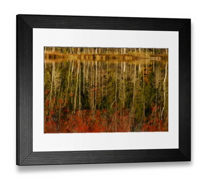 Framed Print : Red Jack Lake and sunrise reflection, Alger County, Upper Peninsula of Michigan Framed Print : Red Jack Lake and sunrise reflection, Alger County, Upper Peninsula of Michigan