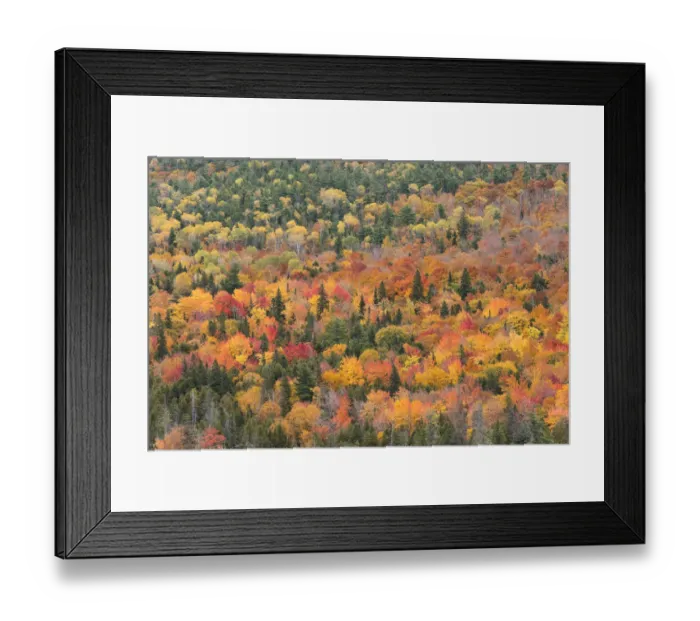 Framed Print : USA, Michigan. Autumn foliage viewed from Brockway Summit Drive in the Keewenaw Peninsula Framed Print : USA, Michigan. Autumn foliage viewed from Brockway Summit Drive in the Keewenaw Peninsula