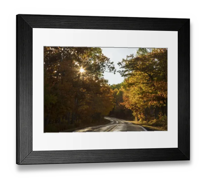 Framed Print : USA, Michigan. Sunlight streams through autumn foliage along a country road in Framed Print : USA, Michigan. Sunlight streams through autumn foliage along a country road in