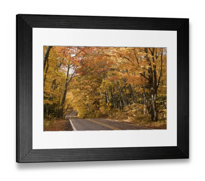 Framed Print : USA, Michigan, Sunlight streams through autumn trees along a country road in