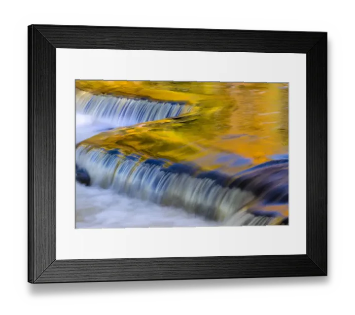 Framed Print : Yellow and golds reflect from tree into The Middle Branch of the Ontonagon River Framed Print : Yellow and golds reflect from tree into The Middle Branch of the Ontonagon River