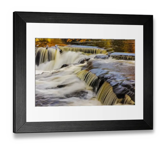 Framed Print : Yellow and golds reflect from tree into The Middle Branch of the Ontonagon River Framed Print : Yellow and golds reflect from tree into The Middle Branch of the Ontonagon River