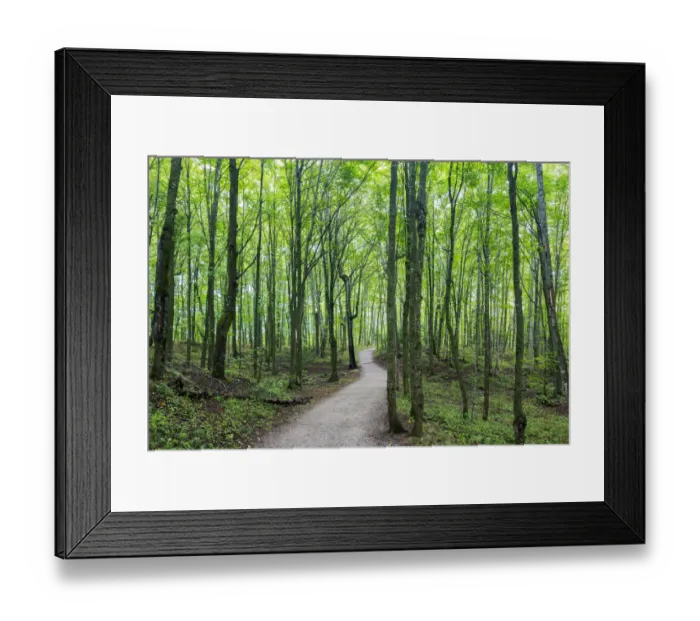 Framed Print : Michigan, Pictured Rocks National Lakeshore, trail to Miners Falls Framed Print : Michigan, Pictured Rocks National Lakeshore, trail to Miners Falls