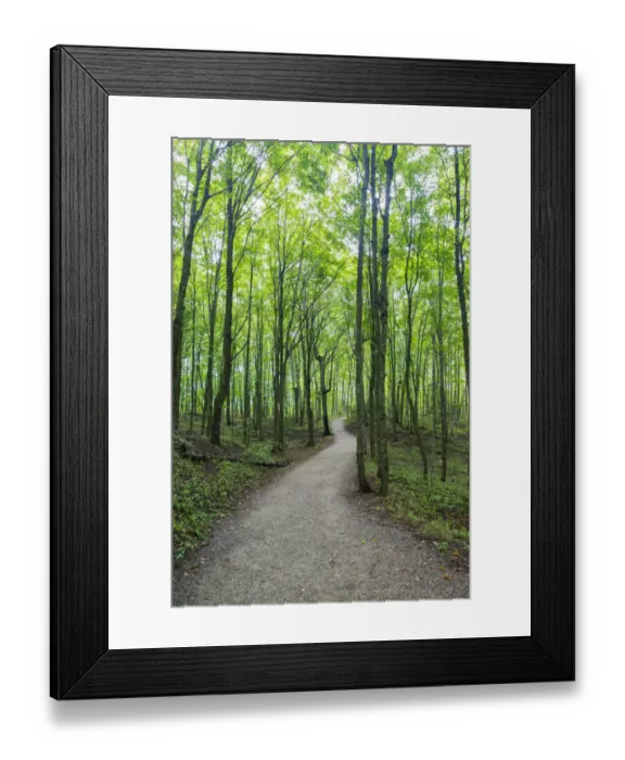 Framed Print : Michigan, Pictured Rocks National Lakeshore, trail to Miners Falls Framed Print : Michigan, Pictured Rocks National Lakeshore, trail to Miners Falls