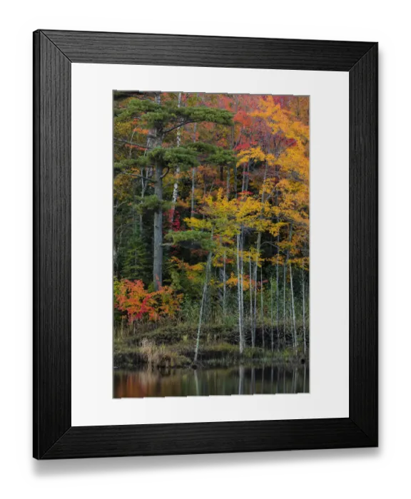 Framed Print : Small lake with autumn color near Marquette, Michigan USA