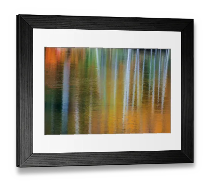 Framed Print : Birch trees artistically reflect into small lake with autumn color near Marquette