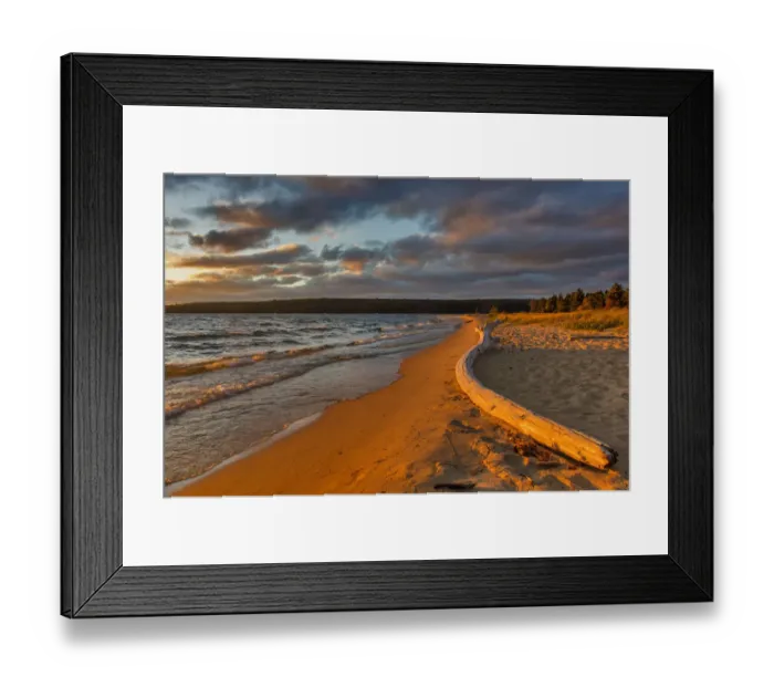 Framed Print : Dramatic sunset light on weathered driftwood at Sand Point in Pictured Rocks National Lakeshore
