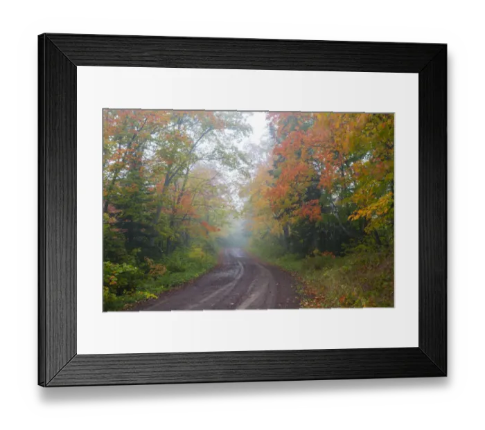 Framed Print : Minnesota, Pat Bayle State Forest, fall color along road through forest