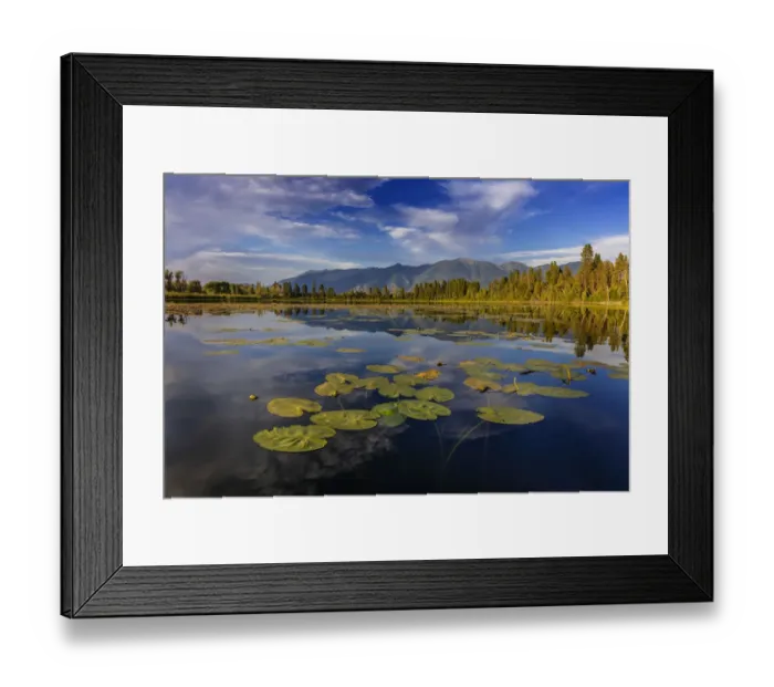 Framed Print : Lilly pads and Swan Range reflects into McWennger Slough near Kalispell, Montana, USA Framed Print : Lilly pads and Swan Range reflects into McWennger Slough near Kalispell, Montana, USA