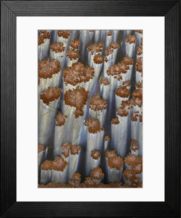 Framed Print : USA, Montana, Sculpture in the Wild. Close-up of rust patterns on metal. Credit as