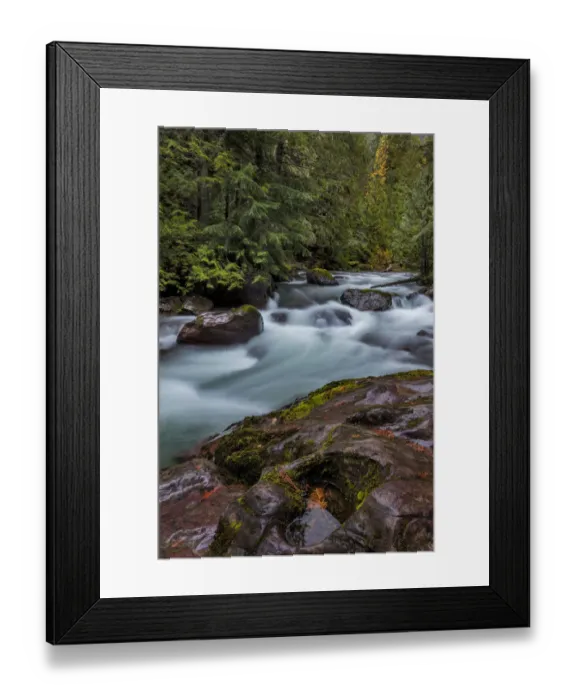 Framed Print : Avalanche Creek in Glacier National Park, Montana, USA Framed Print : Avalanche Creek in Glacier National Park, Montana, USA